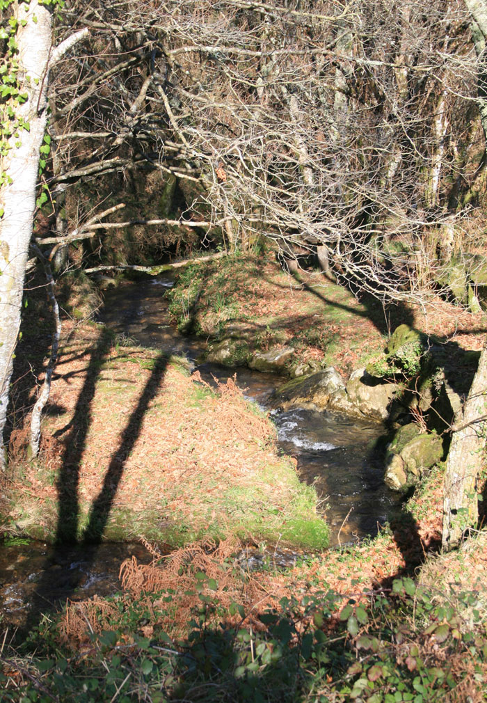 Río Seixo