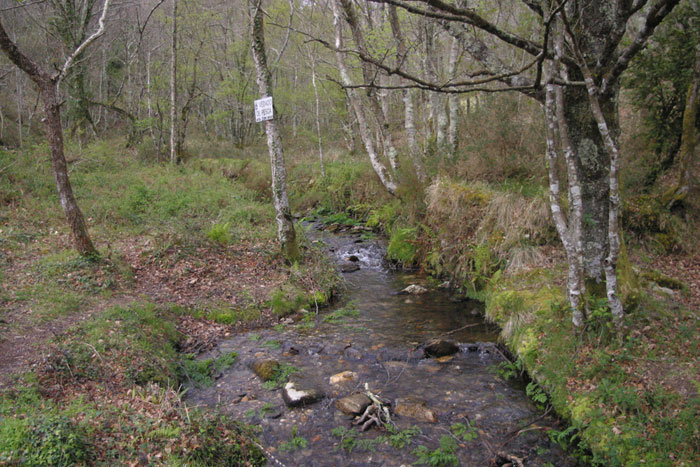 Río Seixo