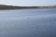 Laguna de A Frouxeira