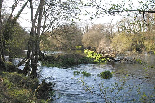 Salida de aguas de una de los caneiros