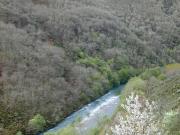Coto compartido con Asturias