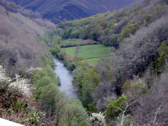 El Navia y su explendor
