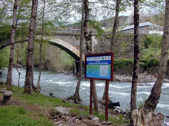 Límite superior del Coto de San Martiño de Ribeira