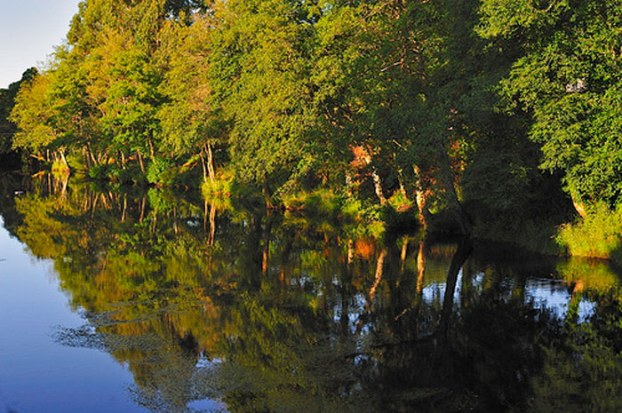 Río Parga