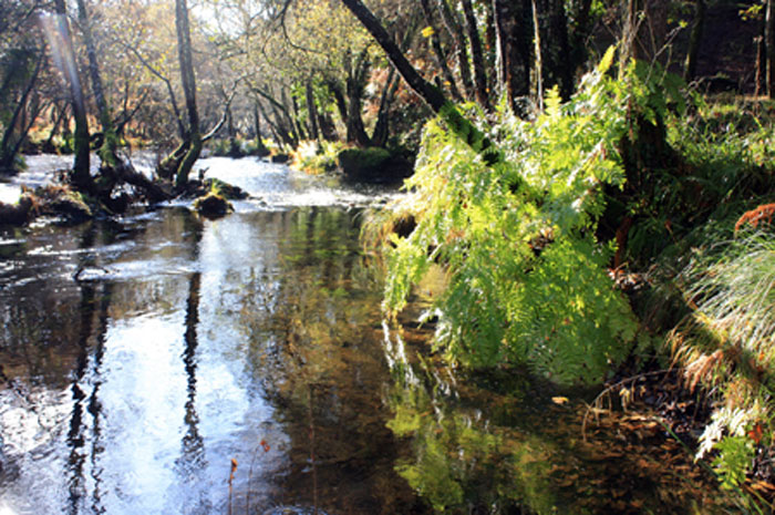 Río Parga