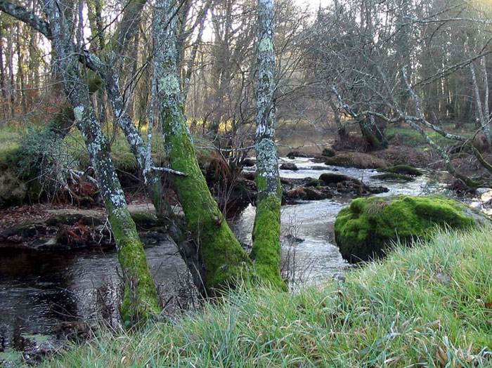 Río Parga