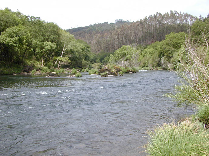 Aguas abajo. Couto de Couso