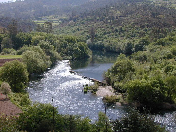 Coto de Sinde