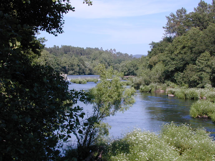 Río ancho y profundo