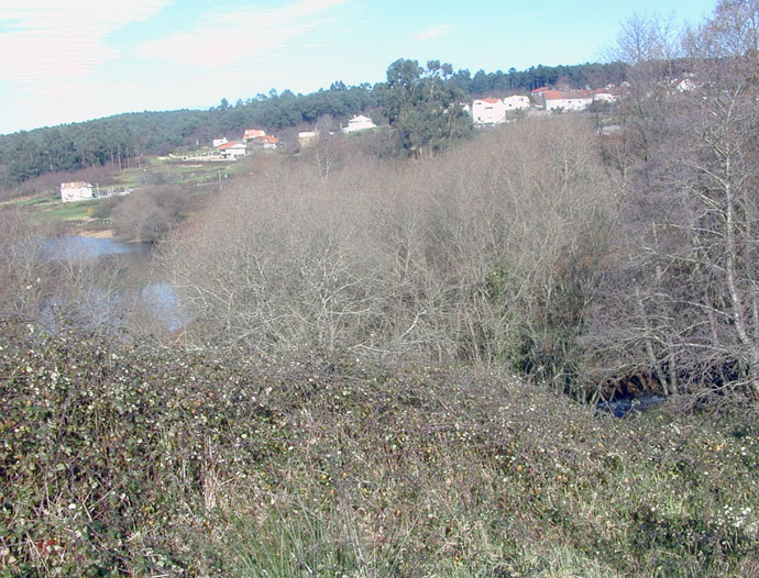 Cola del embalse