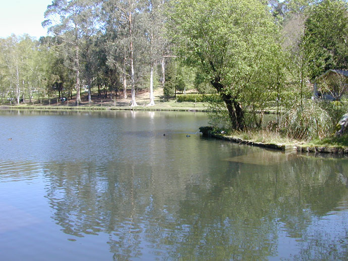 Lago Castiñeiras 