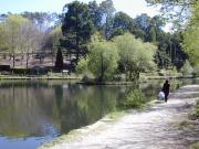 Lago Castiñeiras 