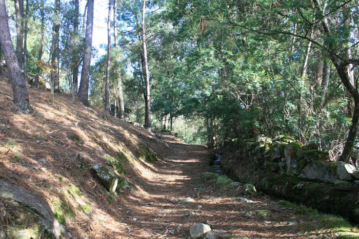 El sendero siguiendo al agua