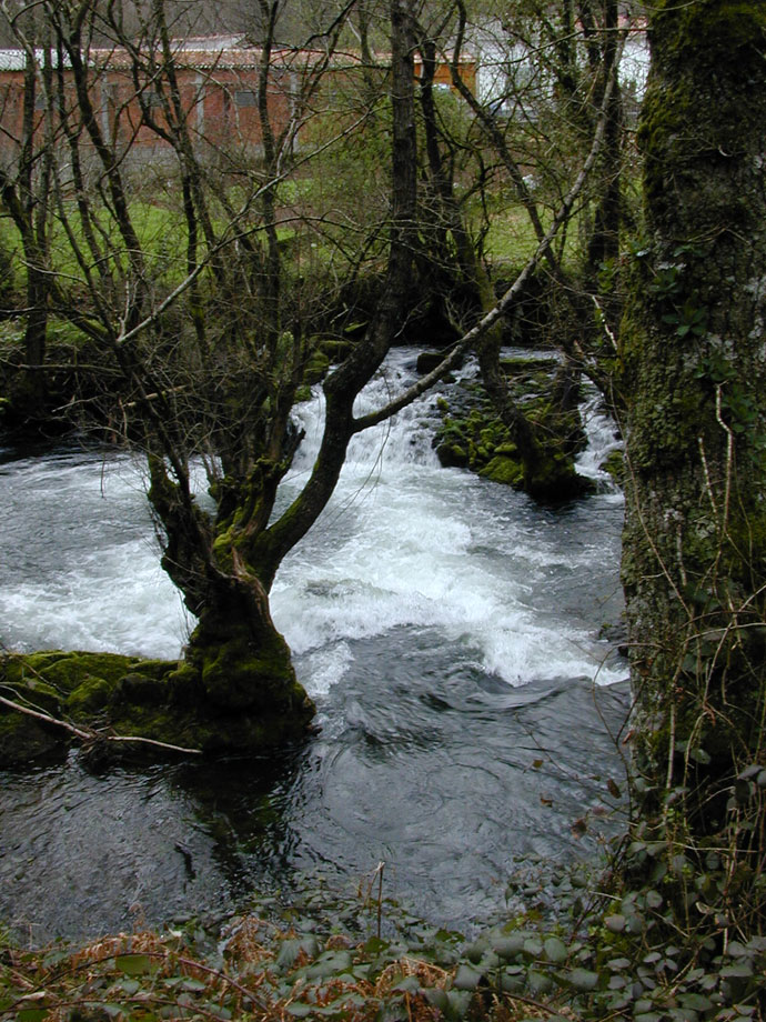 Río Asneiro 