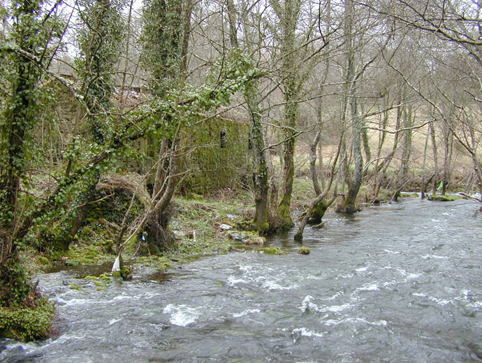 Río Asneiro 