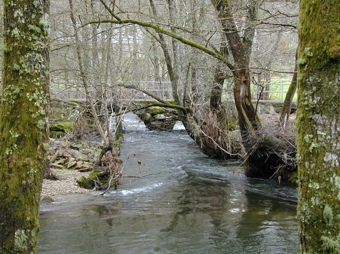 Río Asneiro 