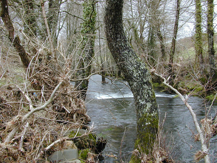 Río Asneiro 