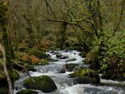 Aguas abajo de la cascada