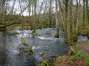 Aguas arriba entre viejos molinos