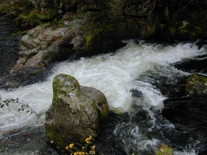 Aguas blancas