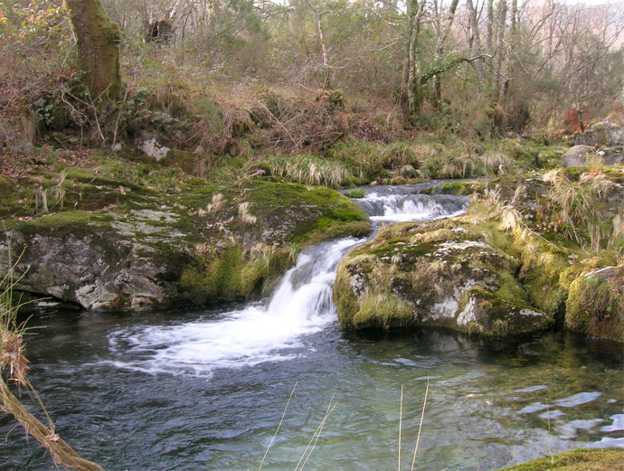 Aguas abajo de la cascada