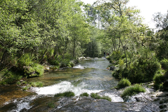 Río Cerves