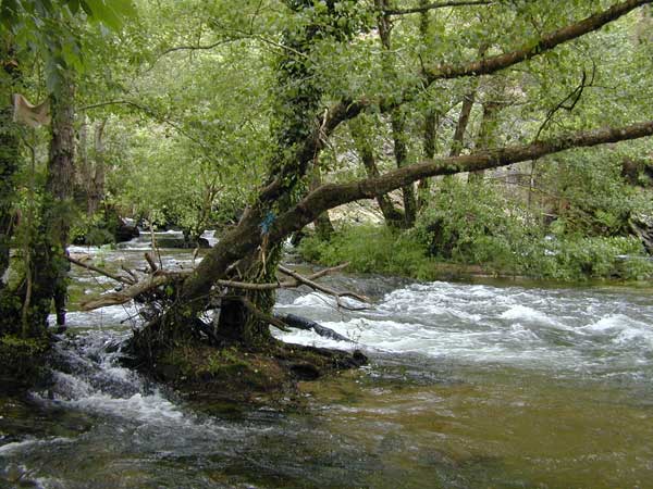 Zona de la presa. Zona salmonera