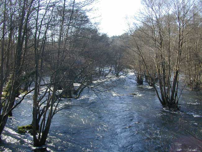 Río Miño en Outeiro de Rei