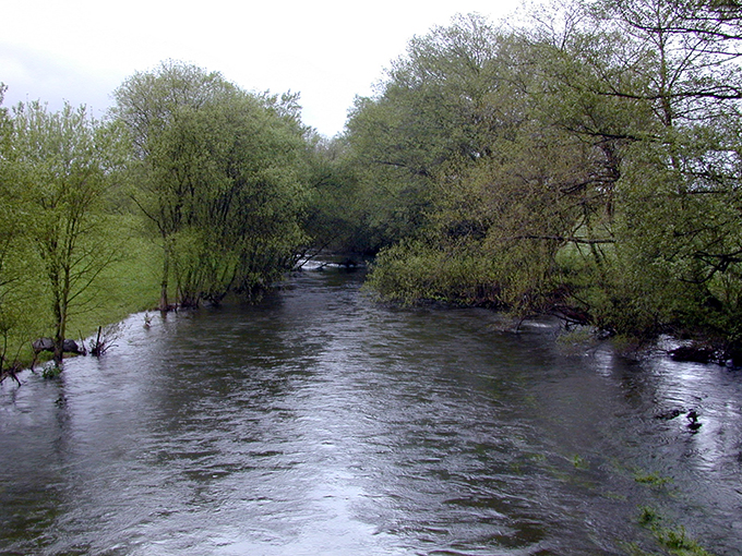 Coto de Castro de Rei