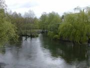 Desembocadura del Lea en Ponte Vilar