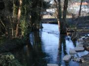 Miñor por Gondomar