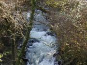 Río Miñor cauce alto