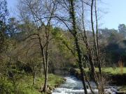 Río Miñor