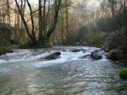 Río Miñor