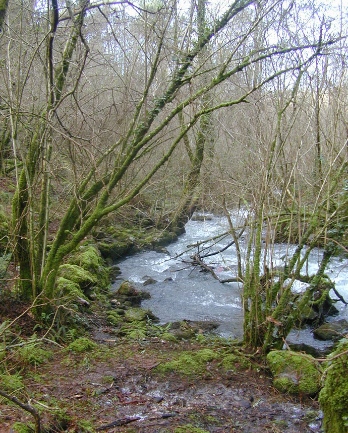 Río Zamáns despues del embalse