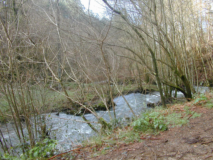 Río Zamáns despues del embalse