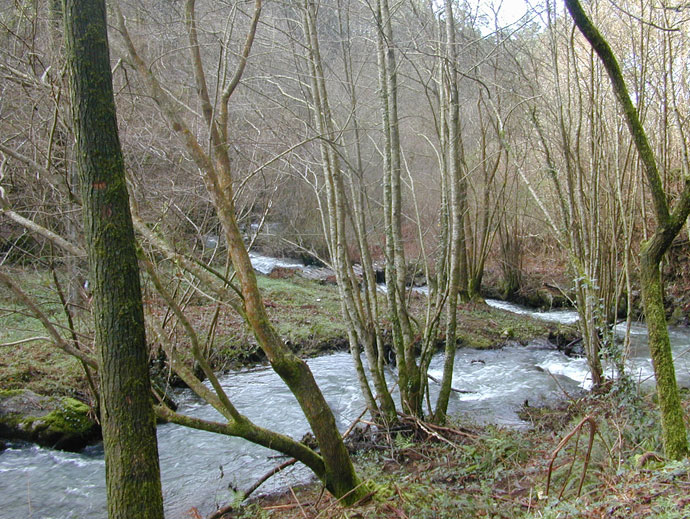 Río Zamáns despues del embalse