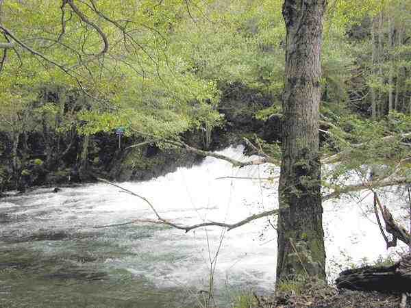 El río Rodil en su parte alta al comienzo del coto de Ribeira de Piquín. 