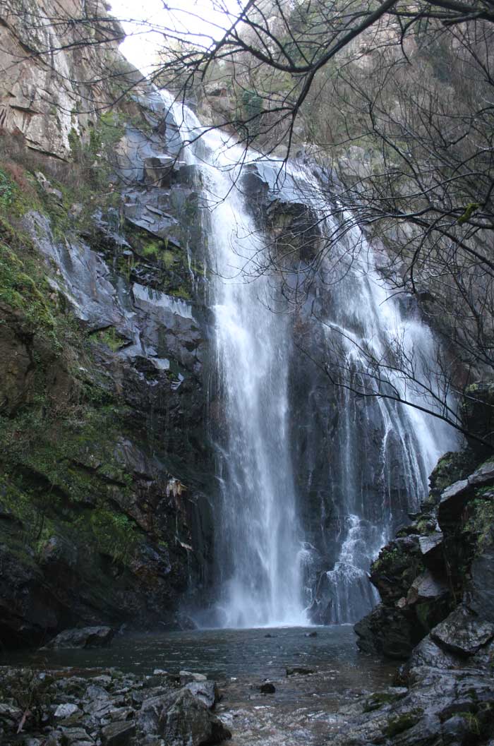 Fervenza do Toxa