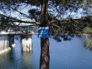 Embalse de As Eiras