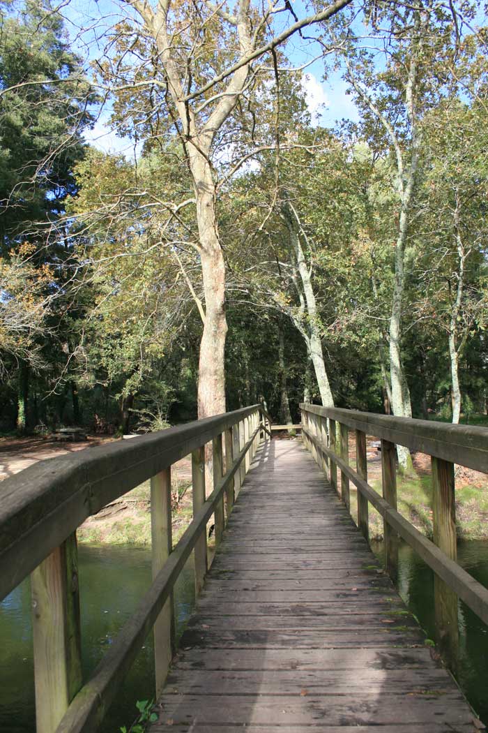 Puente de madera