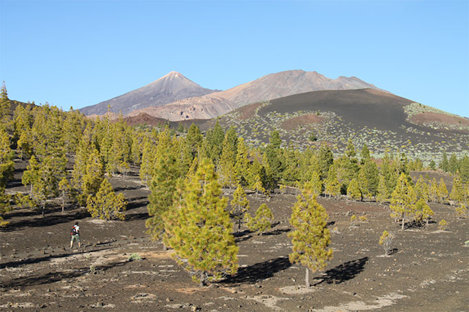 Parque Nacional del Teide