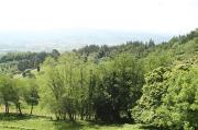 El verde del Jaizkibel, el verde de Euskadi