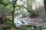 Naturaleza. Muiños do Folón