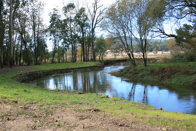 Paseo por el Tamuxe