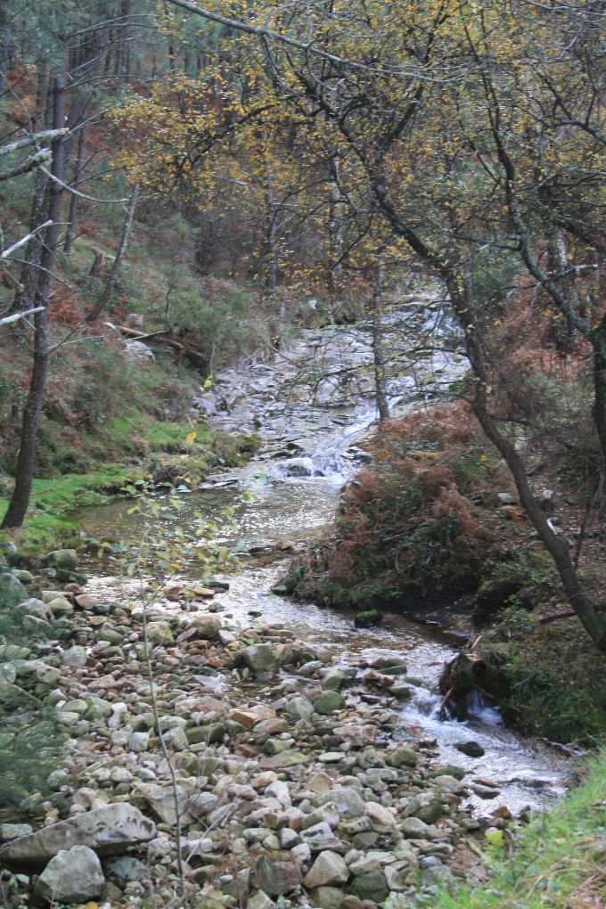 Río de Mougas