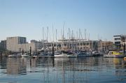 Puerto deportivo del Liceo Marítimo de Bouzas. Puerto de Vigo