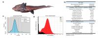 Investigadores del C. Oceanográfico de Vigo participan en el estudio sobre peces cartilaginosos para conocer la evolución de peces mandibulados