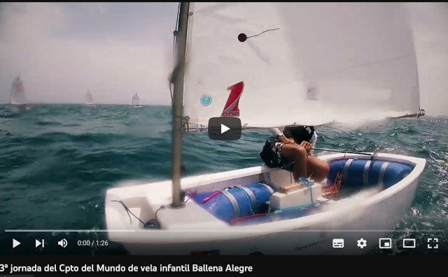 4video3ballena