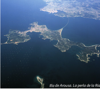 arousa